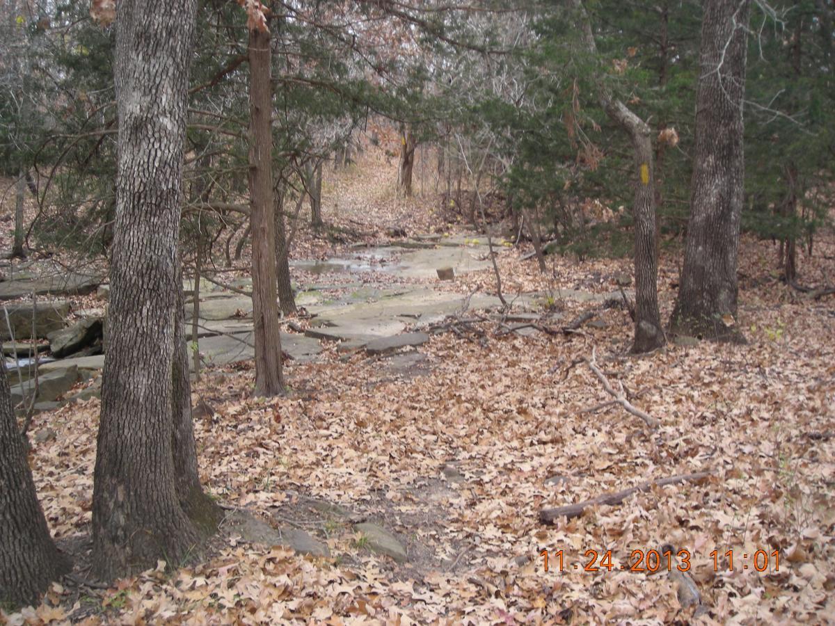 A serene forest scene featuring autumn foliage, with scattered fallen leaves covering the ground. Several trees stand tall, surrounded by a rocky area that appears to lead to a small, winding stream in the background. The atmosphere suggests a peaceful natural setting. Chautauqua Hills Trail mountain bike trail.