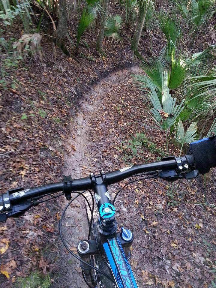 Image of a mountain bike handlebar seen from the rider's perspective, with a winding dirt trail surrounded by tall greenery and fallen leaves in a forested area. Chuck Lennon Park mountain bike trail.