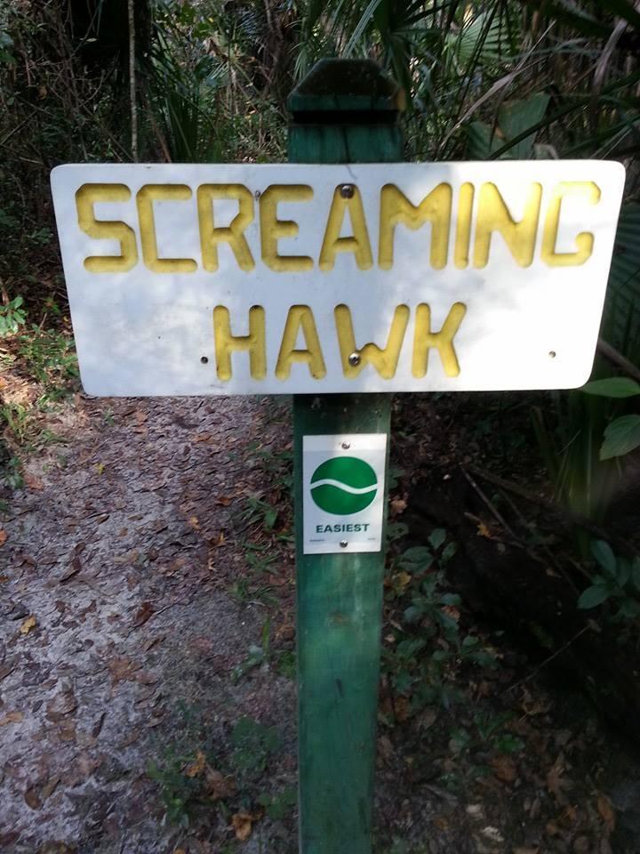 Sign marking the "Screaming Hawk" trail, featuring bold yellow letters on a white background and indicating it's an "Easiest" trail. The sign is attached to a green post in a wooded area with visible foliage and leaf-covered ground. Chuck Lennon Park mountain bike trail.