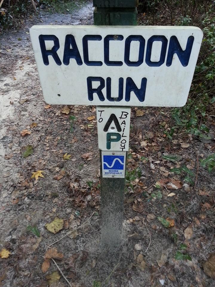 A weathered wooden sign reading "Raccoon Run" at the top, with an arrow pointing towards "A P a l o t," indicating a trail direction. Below the main sign, there's a marker indicating the trail is "More Difficult," surrounded by dirt and fallen leaves, suggesting a forested path. Chuck Lennon Park mountain bike trail.