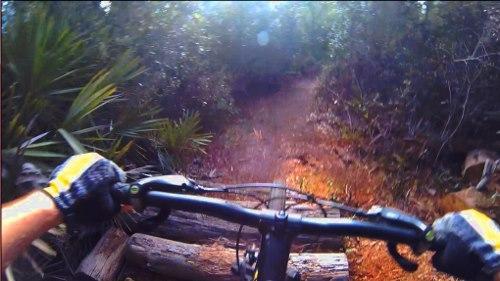 Alt tag: "View from the handlebars of a mountain bike navigating a wooded trail with logs and lush greenery on either side." Turkey Creek mountain bike trail.