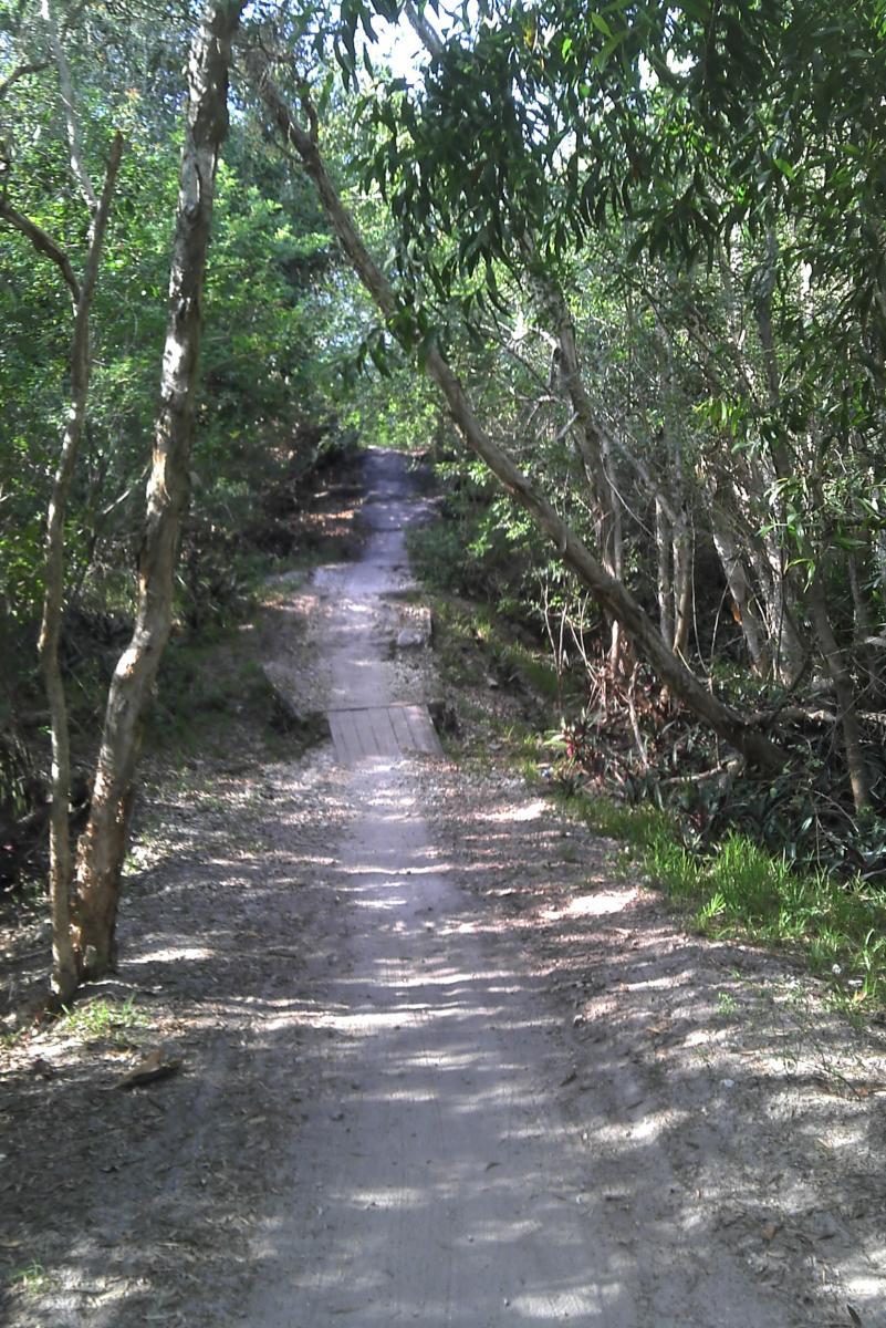 A narrow dirt path surrounded by dense green vegetation, leading into a forested area, with sunlight filtering through the trees. A small wooden bridge spans a slight dip in the path. Markham Park mountain bike trail.