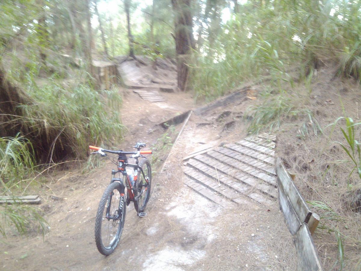 A mountain bike positioned at the edge of a wooded path, with multiple trails visible ahead. The scene is surrounded by tall grass and trees, featuring wooden planks that form parts of the trail. The ground is sandy and slightly uneven, indicating a natural outdoor setting. Markham Park mountain bike trail.