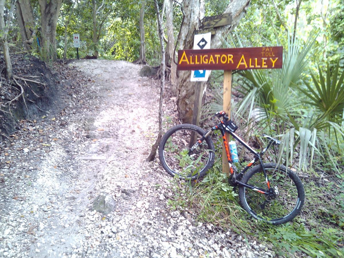 A bike rests on the gravel path beside a wooden sign that reads "Alligator Alley." The trail is surrounded by dense greenery, including trees and palm leaves, indicating a natural setting. A small warning sign is partially visible in the background. Markham Park mountain bike trail.