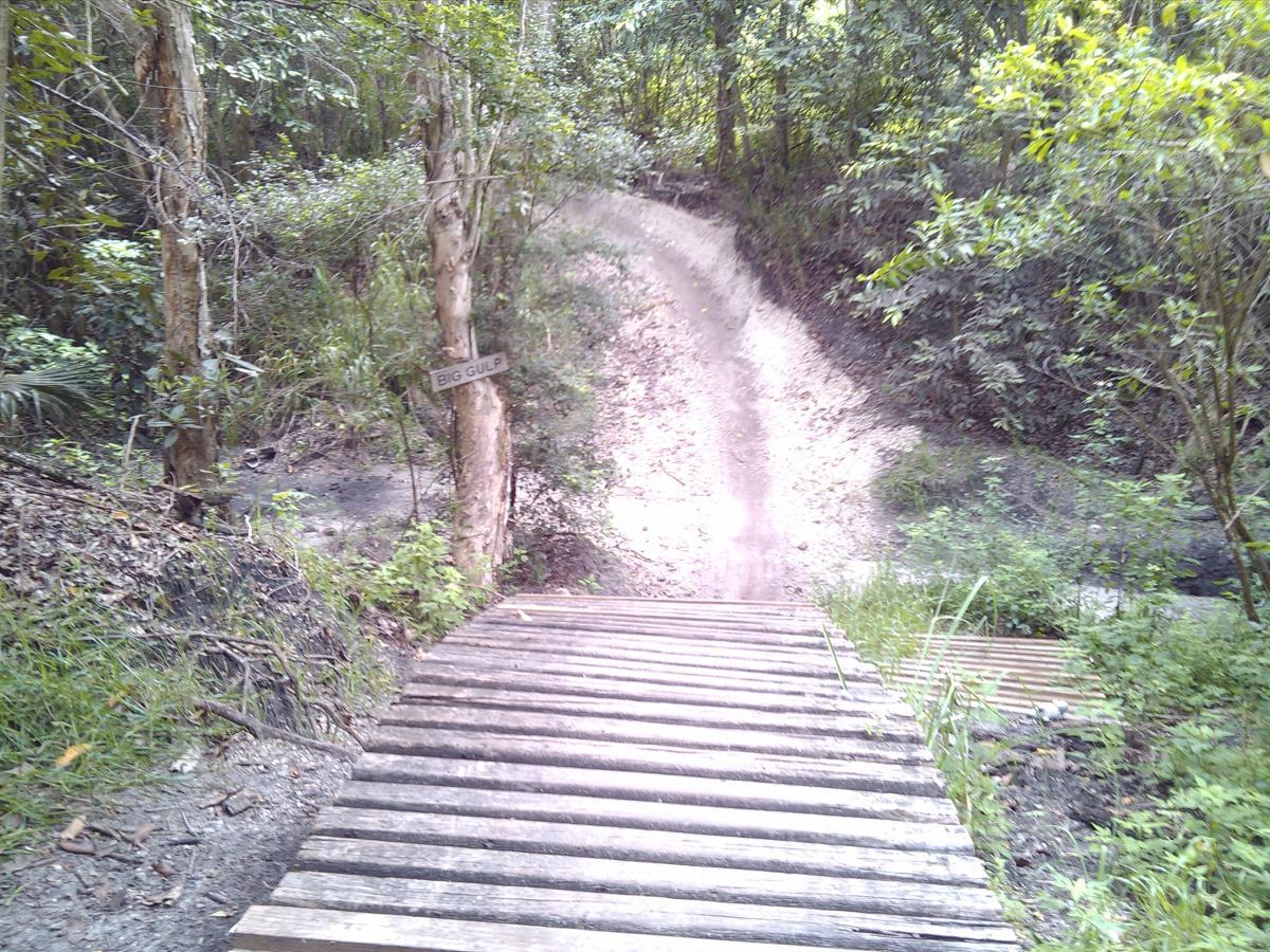 A dirt path winding through a lush forest, with a wooden bridge in the foreground. A sign labeled "BIG GULP" is attached to a tree beside the path, which leads steeply downhill into the greenery. Markham Park mountain bike trail.