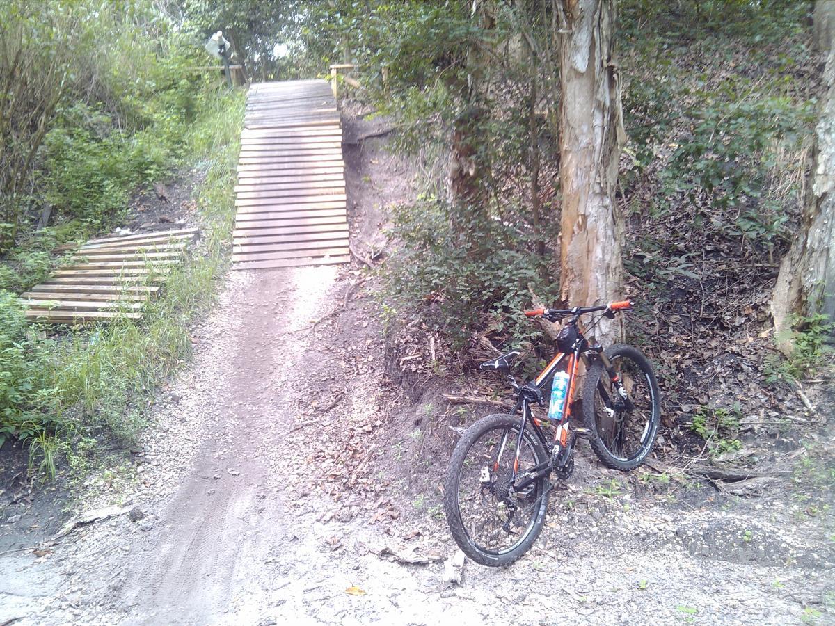 A mountain bike resting against a tree, positioned near a wooden ramp leading up a dirt trail. The surrounding area features lush greenery, with small plants and trees visible. The path is marked by tire tracks and gravel, indicating use by cyclists. Markham Park mountain bike trail.