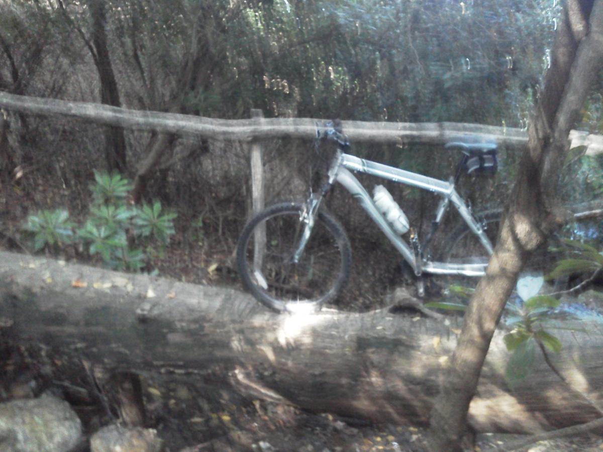 Raleigh Talus 3.0: A mountain bike resting on a fallen log in a wooded area, surrounded by greenery and a wooden fence in the background.