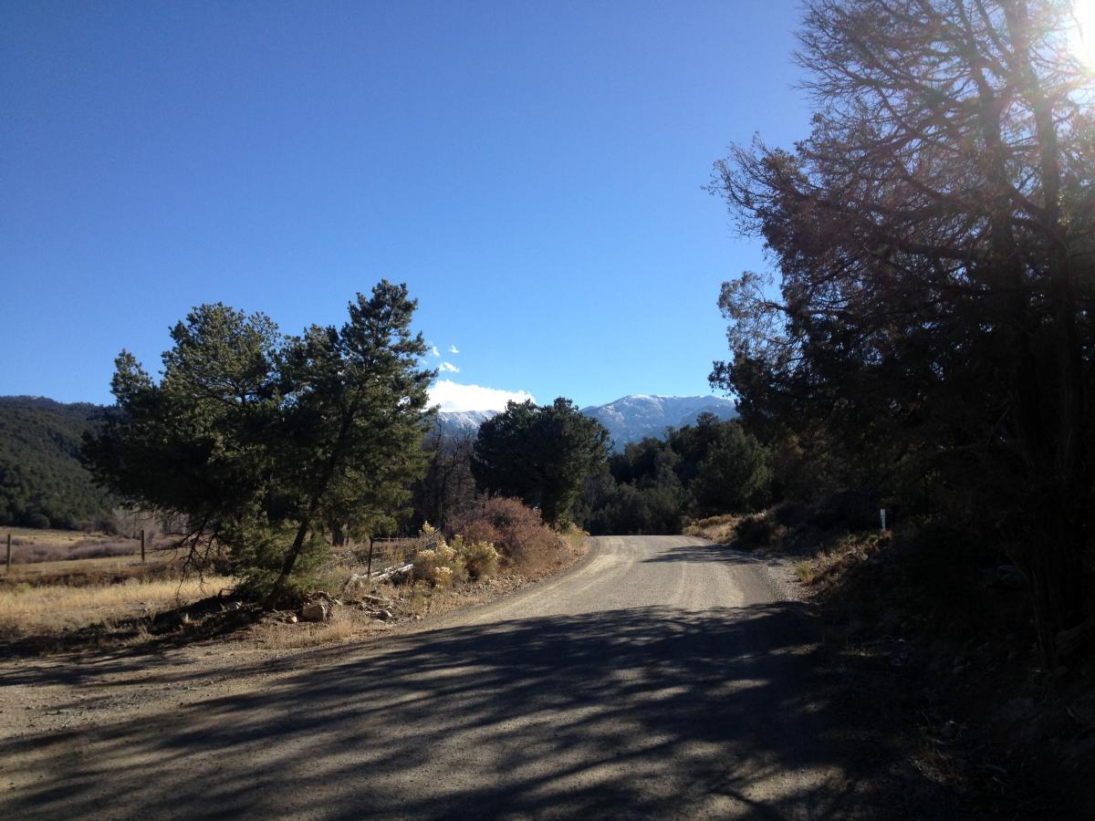 A gravel road winding through a mountainous landscape, flanked by green trees and shrubs under a clear blue sky. Snow-capped peaks are visible in the distance, adding a serene backdrop to the scene. Bear Creek FS Road / #101 / #49 mountain bike trail.