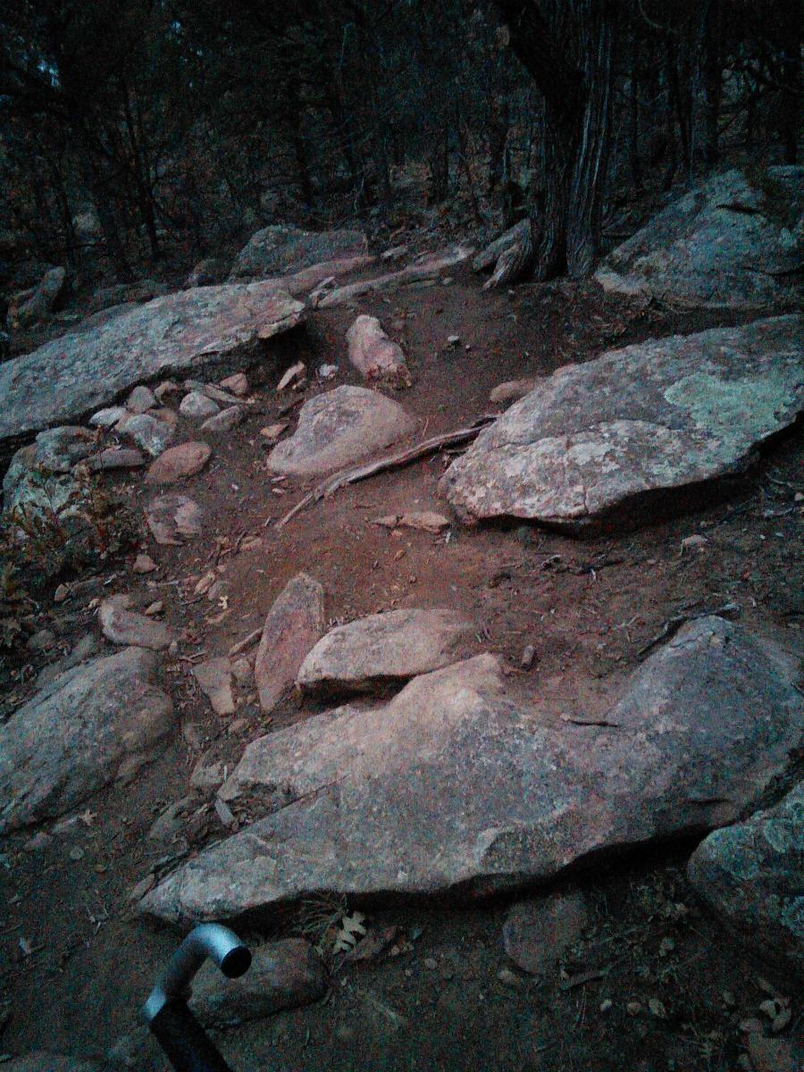 Rocky hiking trail with uneven terrain, featuring large stones and dirt, surrounded by trees. A walking pole is visible in the foreground. The lighting suggests it is early morning or late evening. Cajun Pine mountain bike trail.