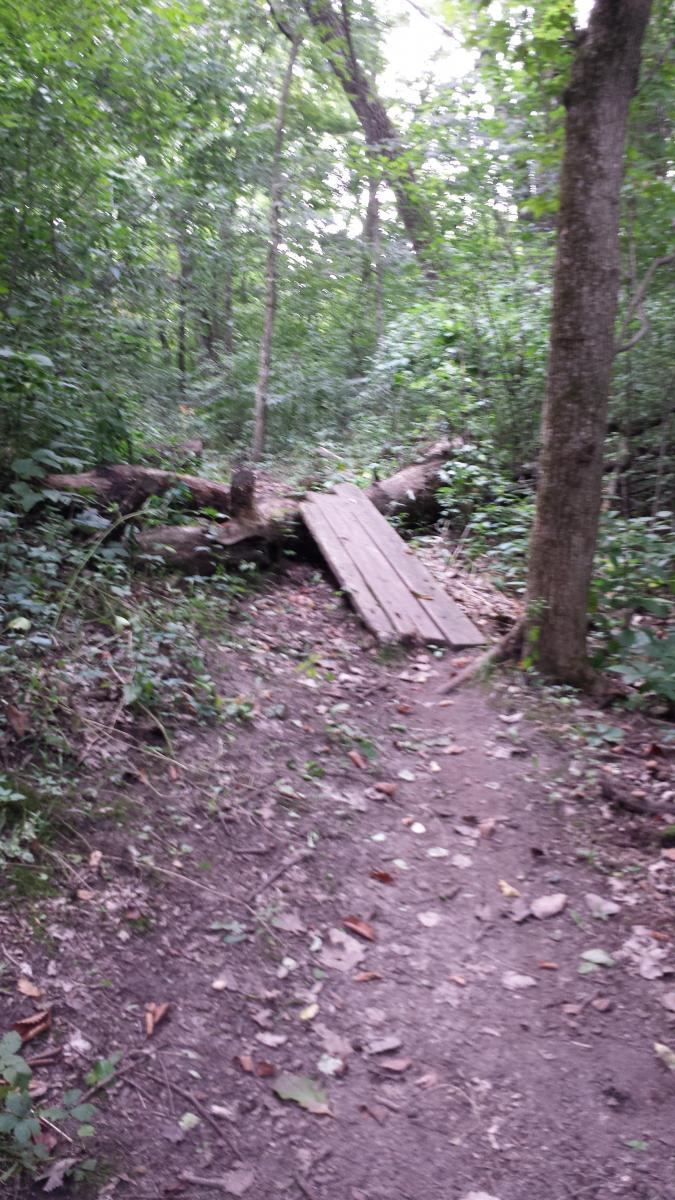 A narrow, winding dirt path leads through a dense, lush forest. A small wooden bridge made of planks spans a shallow area, supported by fallen logs on either side. Surrounding vegetation includes a mix of trees, shrubs, and scattered leaves on the ground, creating a tranquil and natural setting. FDR Park mountain bike trail.
