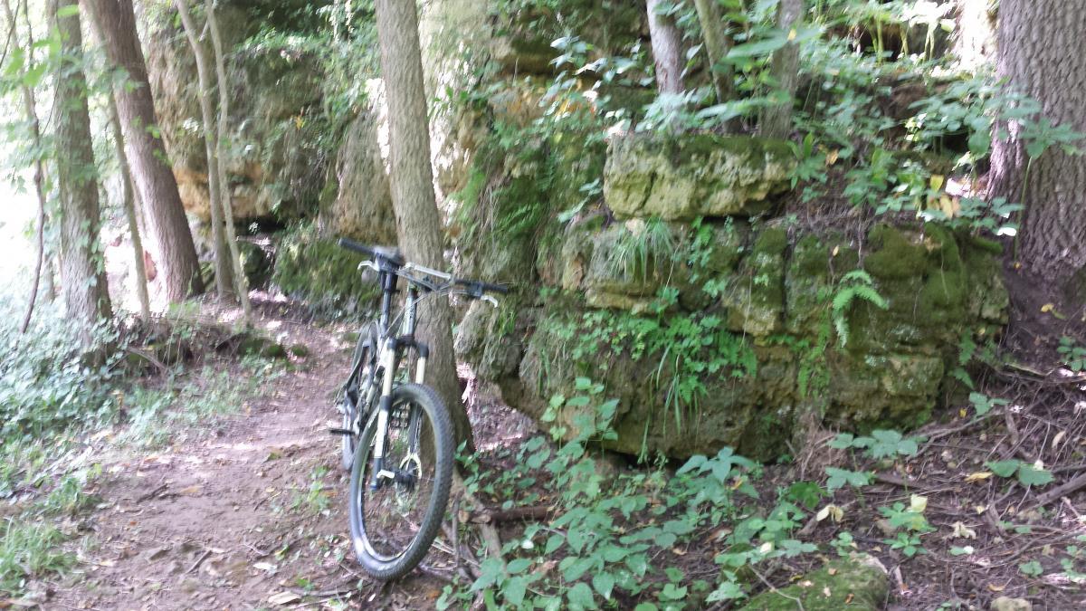 A mountain bike resting against a tree along a narrow, unpaved trail surrounded by lush green foliage and rocky terrain in a wooded area. FDR Park mountain bike trail.