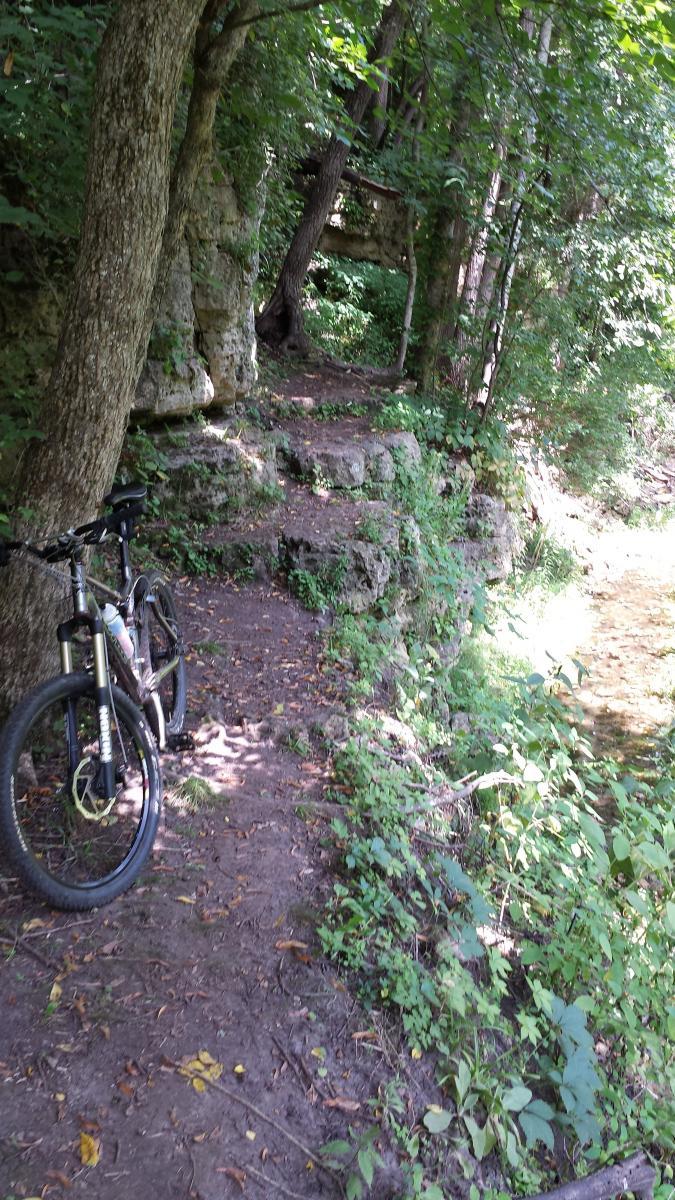 A mountain bike leaning against a tree on a narrow dirt path alongside a rocky outcrop, surrounded by lush greenery and trees, with a small stream visible on the right. FDR Park mountain bike trail.