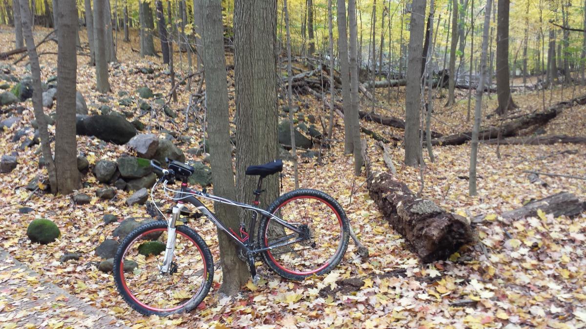 Raleigh Talus: A mountain bike resting against a tree in a wooded area during autumn, surrounded by fallen leaves and rocks, with vibrant foliage in the background.