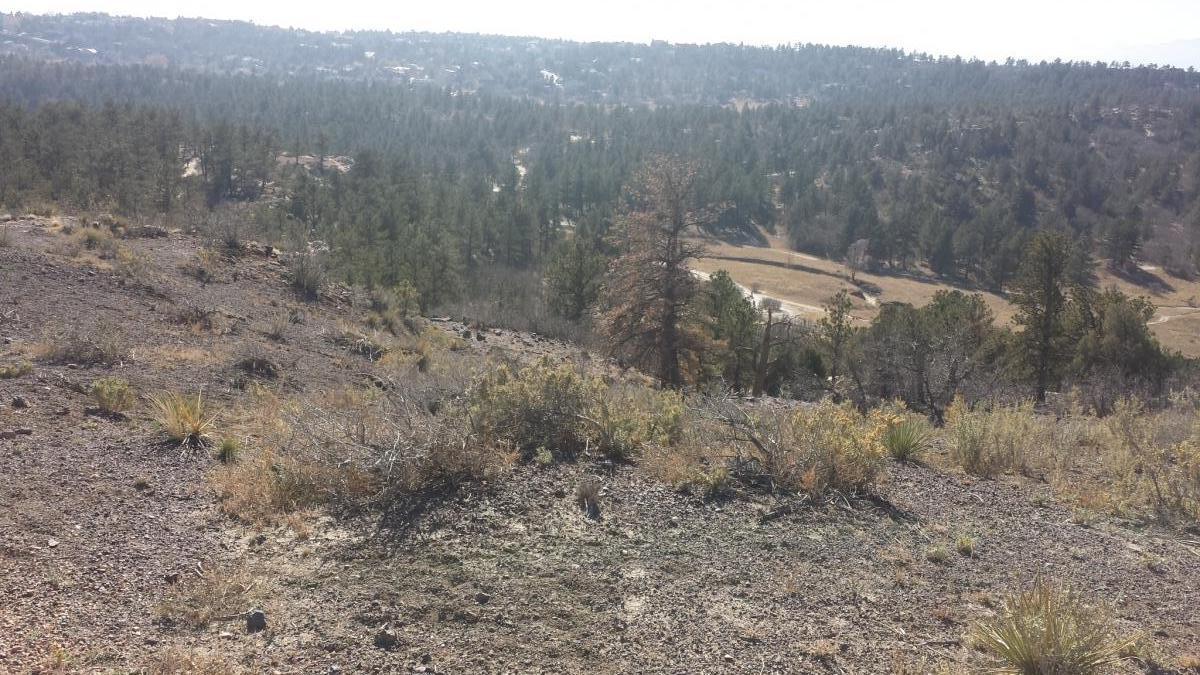 A rocky hillside with sparse vegetation in the foreground, leading down to a valley filled with trees and distant homes. The scene is set under a clear sky, showcasing a natural landscape with a variety of shrubs and grasses. Ute Valley Park mountain bike trail.