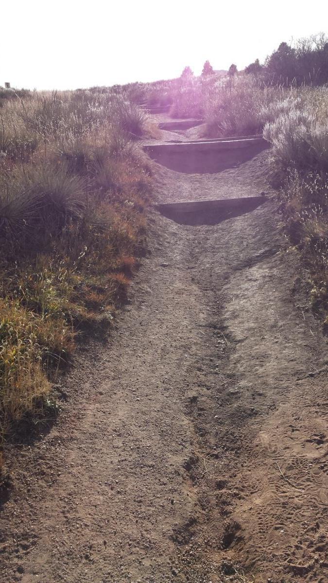 A dirt hiking path winding up a slope, bordered by tall grass and shrubs on either side. The sun is shining brightly in the background, creating a lens flare effect. The path appears well-trodden with visible footprints, leading into the distance. Garden of the Gods: Ute Trail mountain bike trail.