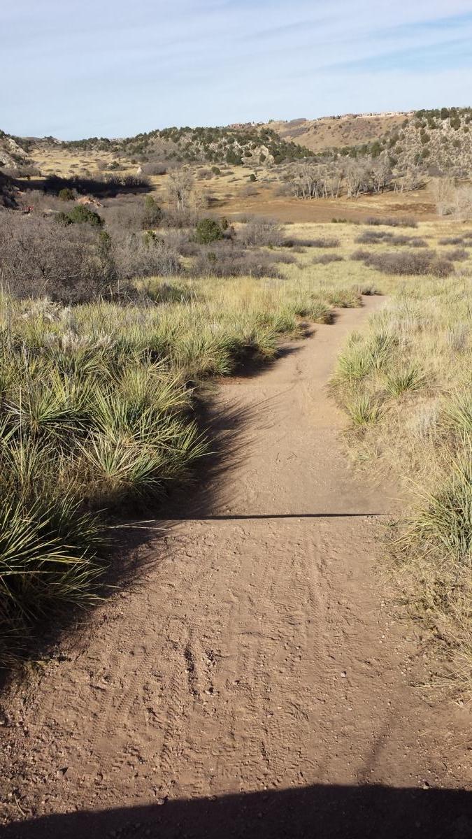 A dirt path winding through tall grasses and sparse shrubs, leading into a scenic landscape of rolling hills and trees under a clear blue sky. Garden of the Gods: Ute Trail mountain bike trail.