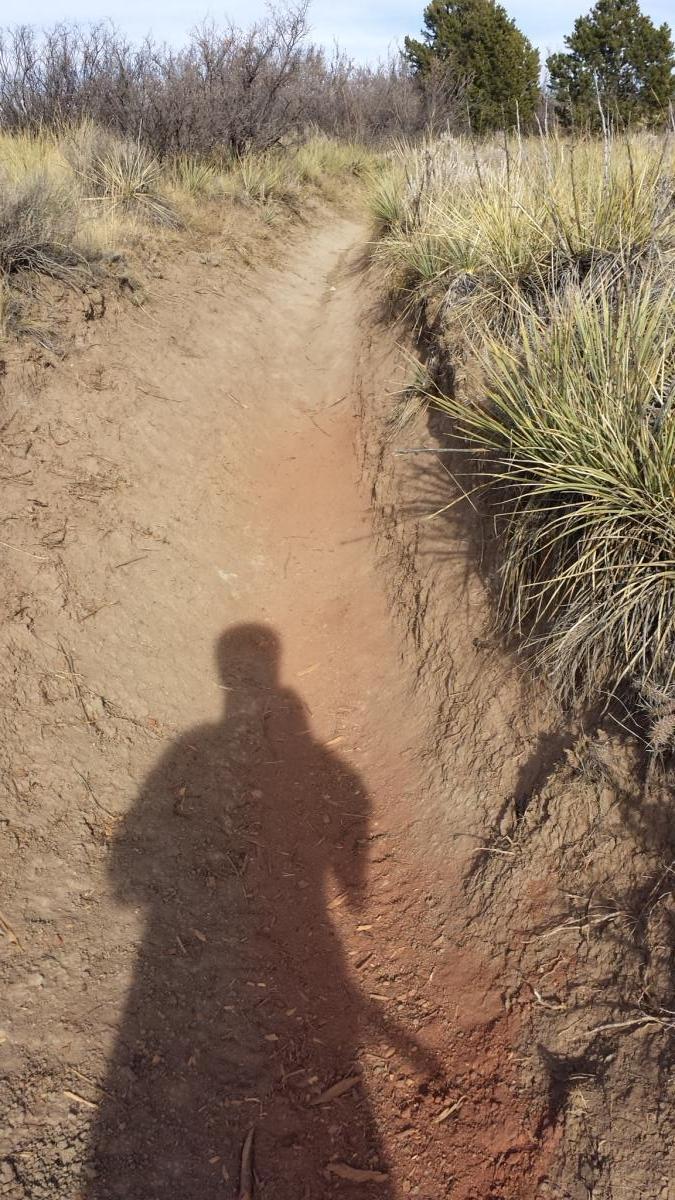 A narrow dirt hiking trail surrounded by tall grass and shrubs, with the shadow of a person in the foreground. Garden of the Gods: Ute Trail mountain bike trail.