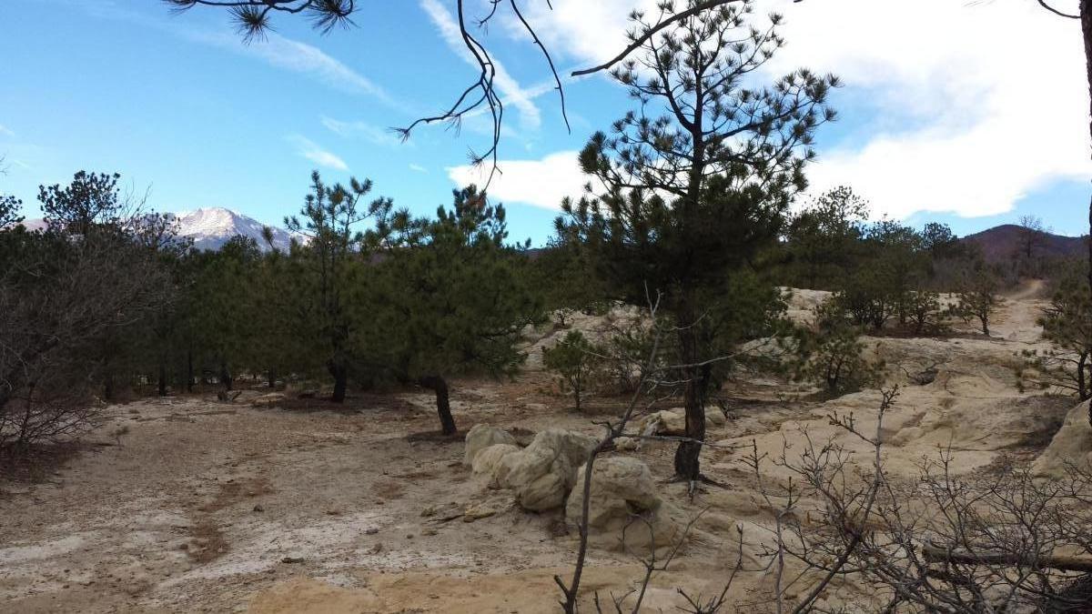 A scenic landscape featuring a rocky terrain dotted with scattered pine trees, under a bright blue sky with wispy clouds. In the background, distant mountains can be seen, creating a serene outdoor atmosphere. Ute Valley Park mountain bike trail.