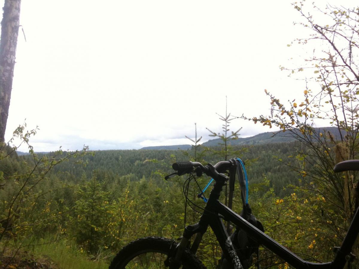 A mountain bike rests on a trail overlooking a lush green forest with rolling hills under a cloudy sky. The scene captures the serene beauty of nature, with trees in various shades of green and small yellow flowers peeking through the underbrush. Molalla River Recreation Corridor mountain bike trail.