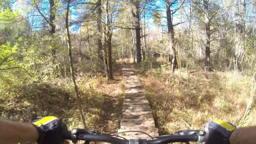 A mountain biker's perspective while riding on a wooden path through a wooded area, surrounded by tall trees and underbrush on a sunny day. Nockamixon State Park mountain bike trail.