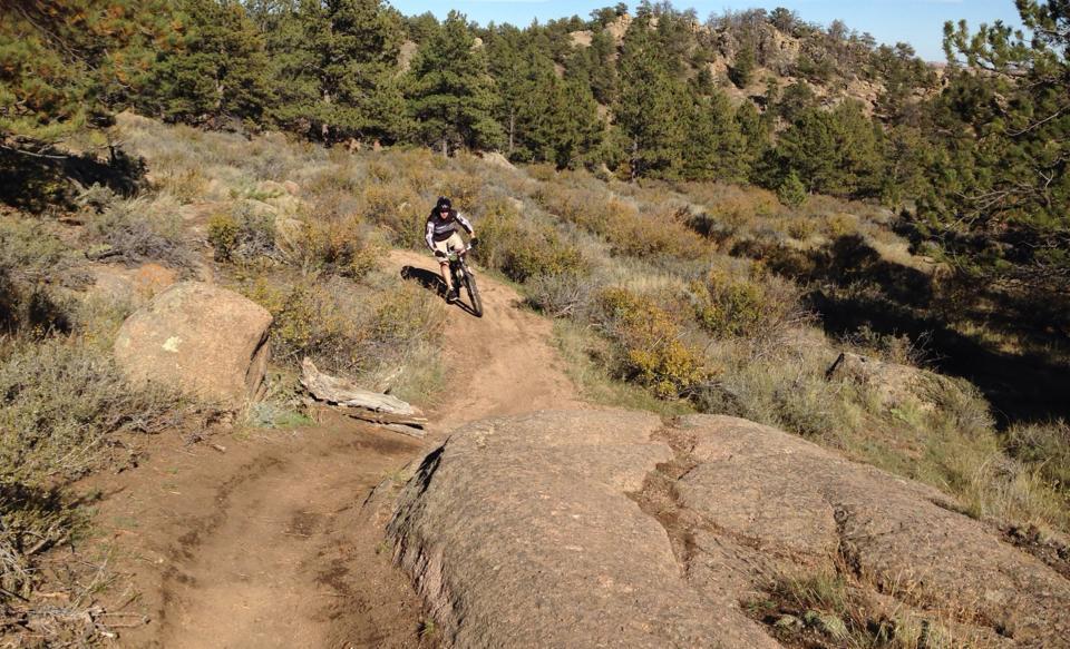 Cannondale RZ 120-1: A mountain biker navigating a dirt trail in a rocky landscape, surrounded by shrubs and tall pine trees under a clear blue sky.
