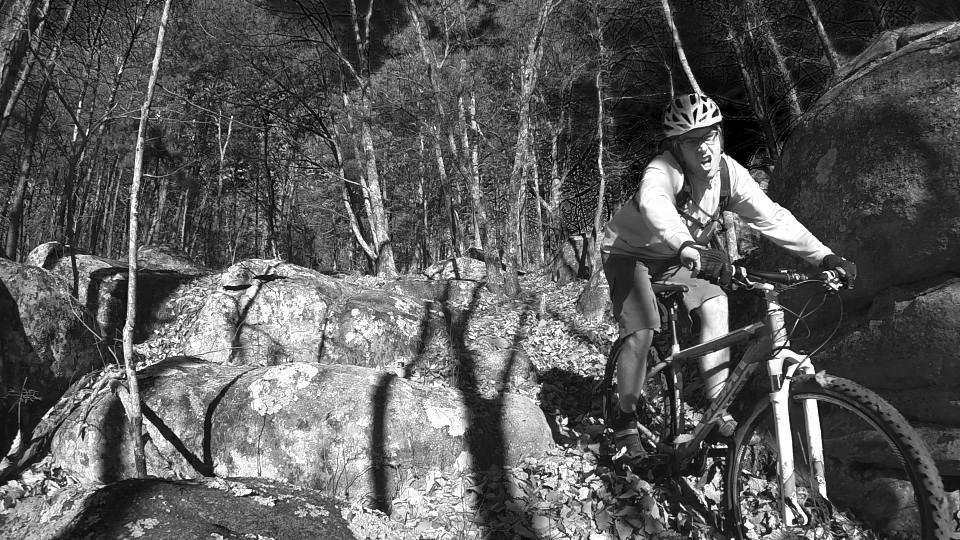 A cyclist navigating rocky terrain in a wooded area, surrounded by tall trees and scattered leaves, captured in black and white. The cyclist is wearing a helmet and appears focused as they maneuver their mountain bike over the obstacles. Raccoon Mountain Trail Network mountain bike trail.