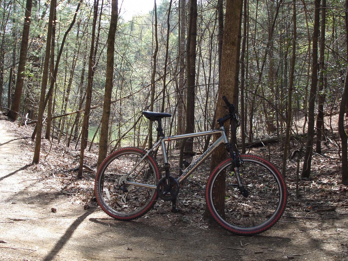A mountain bike resting against a tree on a dirt path surrounded by a forest with tall trees and scattered leaves on the ground. Sunlight filters through the branches, creating dappled light on the trail. Overmountain Victory Trail mountain bike trail.