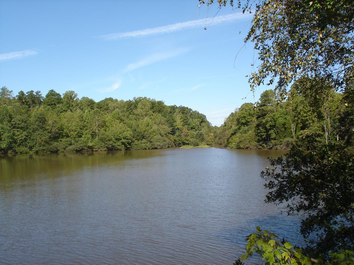 A tranquil view of a calm river surrounded by lush greenery and trees beneath a clear blue sky. The water reflects the surrounding landscape, creating a serene natural setting. Itusi @ Lake Norman State Park mountain bike trail.