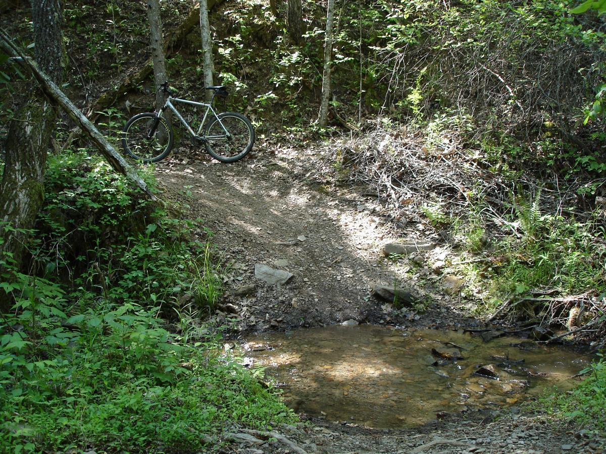 A mountain bike resting on a dirt trail beside a small stream, surrounded by lush green foliage and trees. Tsali Recreation Area mountain bike trail.