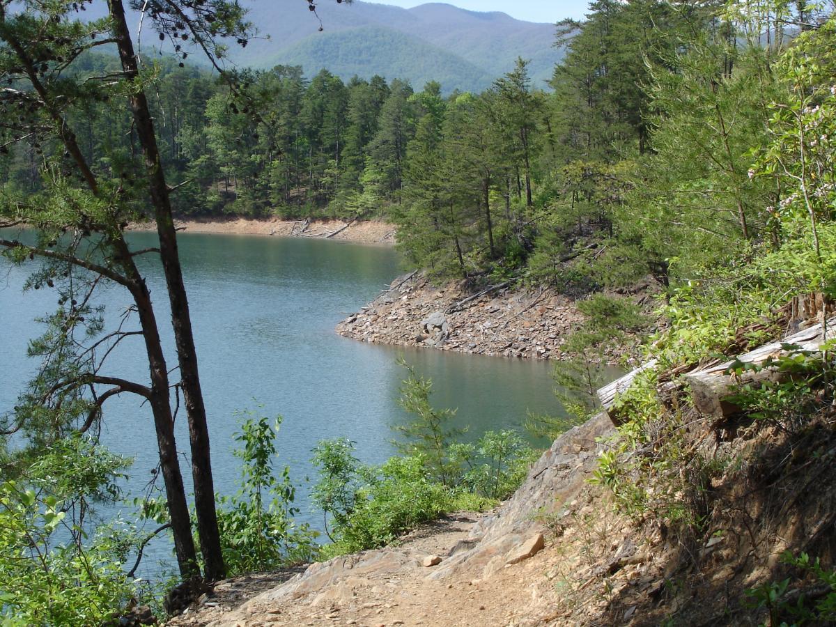 A scenic view of a calm lake surrounded by dense green forests and rolling hills under a clear blue sky. The shoreline features a mix of rocky and vegetated areas, with trees bordering the water's edge. A dirt trail leads along the bank, inviting exploration of the natural landscape. Tsali Recreation Area mountain bike trail.