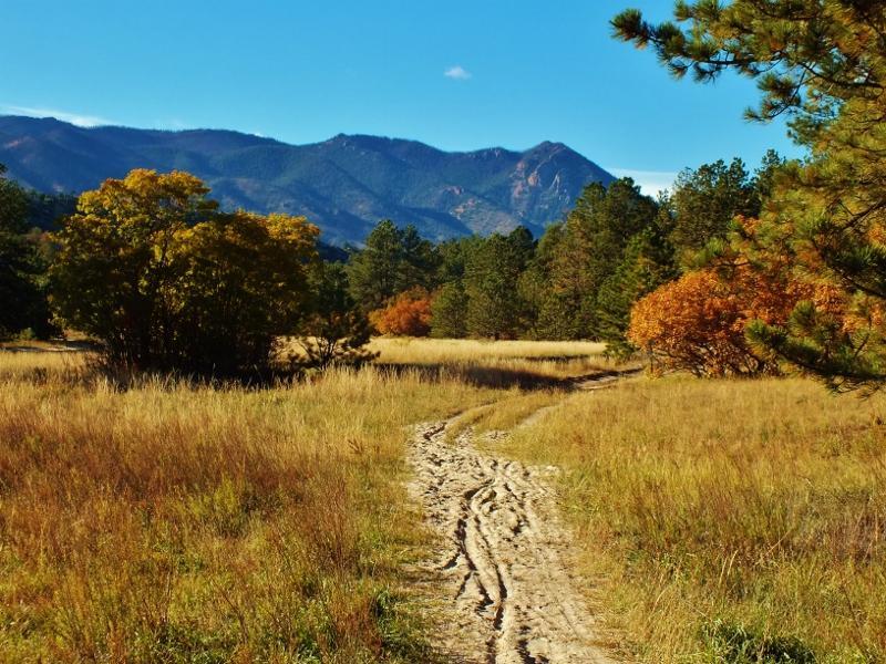 A scenic view of a dirt path winding through a golden grassy meadow, surrounded by trees displaying autumn foliage. In the background, majestic mountains rise under a clear blue sky. Ute Valley Park mountain bike trail.