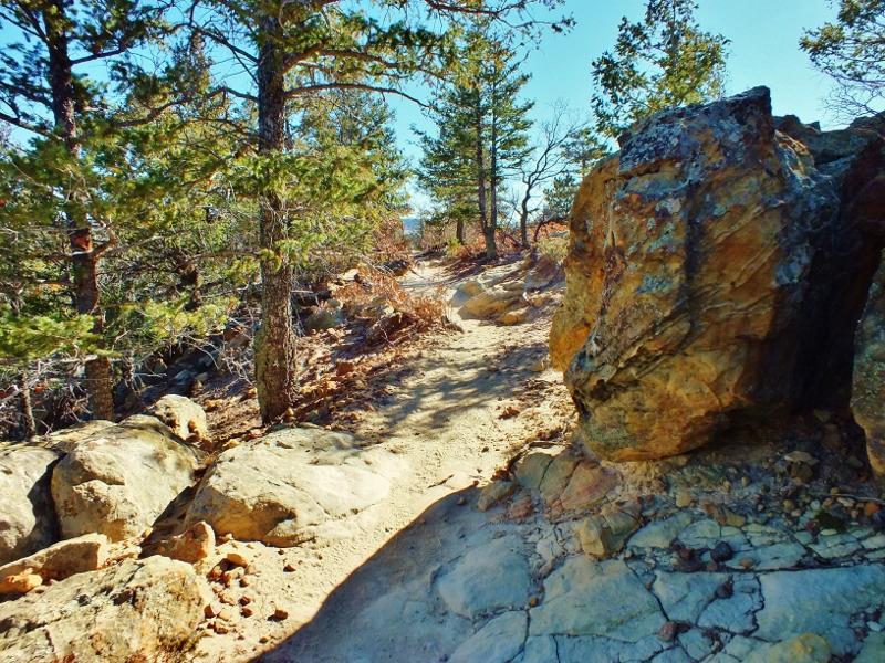 A winding dirt trail surrounded by tall evergreen trees and large rocks, leading through a scenic forest landscape under a clear blue sky. Ute Valley Park mountain bike trail.