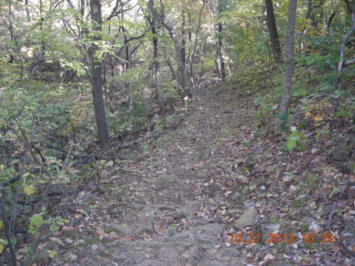 A winding dirt trail surrounded by trees and greenery, covered with fallen leaves, leading through a wooded area. The scene captures the essence of a peaceful hike in nature. Perry Lake Bike Trail mountain bike trail.