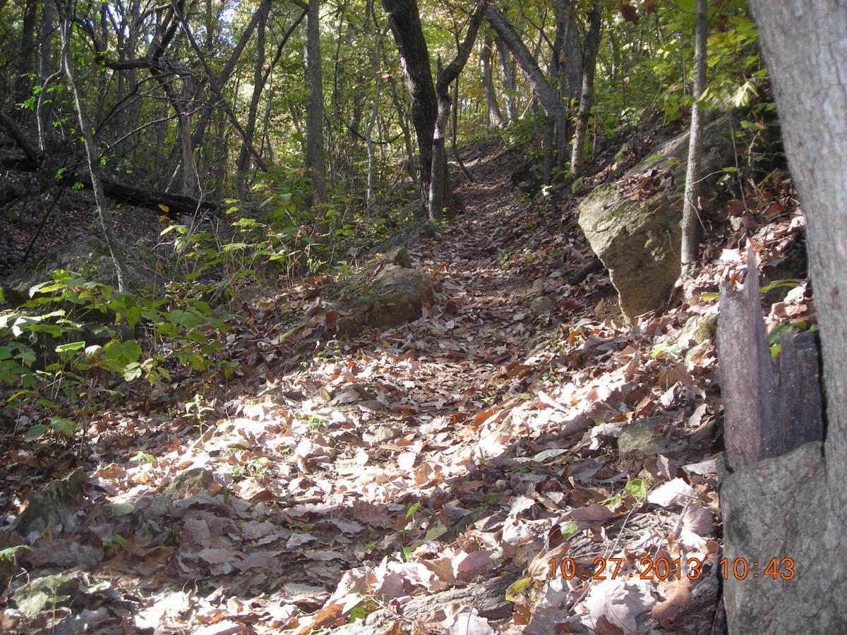 A narrow, winding trail through a wooded area covered in autumn leaves, flanked by trees and rocky terrain. The sunlight filters through the branches, illuminating parts of the path and surrounding foliage. Perry Lake Bike Trail mountain bike trail.