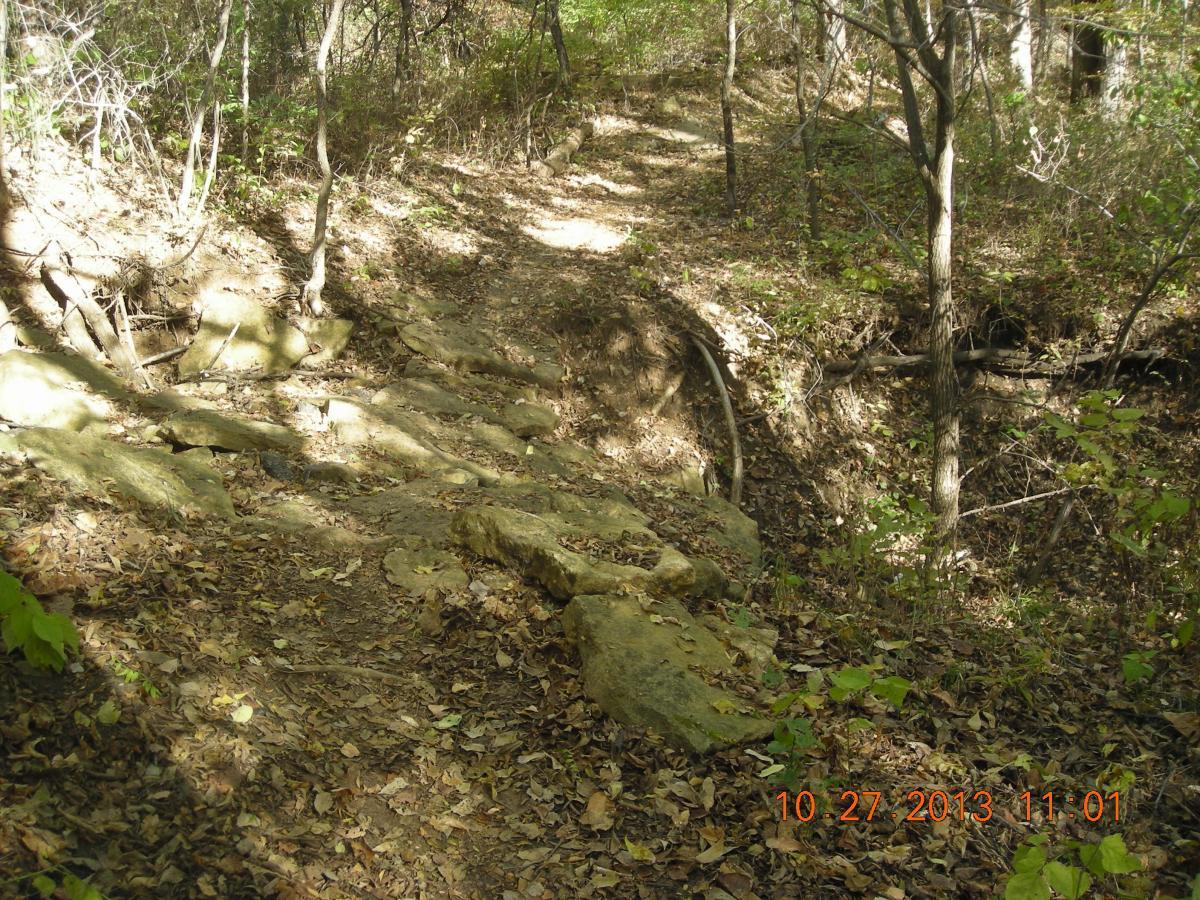 A narrow, rocky hiking trail winding through a wooded area, covered with fallen leaves. The trail features exposed stones and dirt, surrounded by trees and underbrush indicating a natural setting. Sunlight filters through the trees, creating dappled shadows on the path. Perry Lake Bike Trail mountain bike trail.