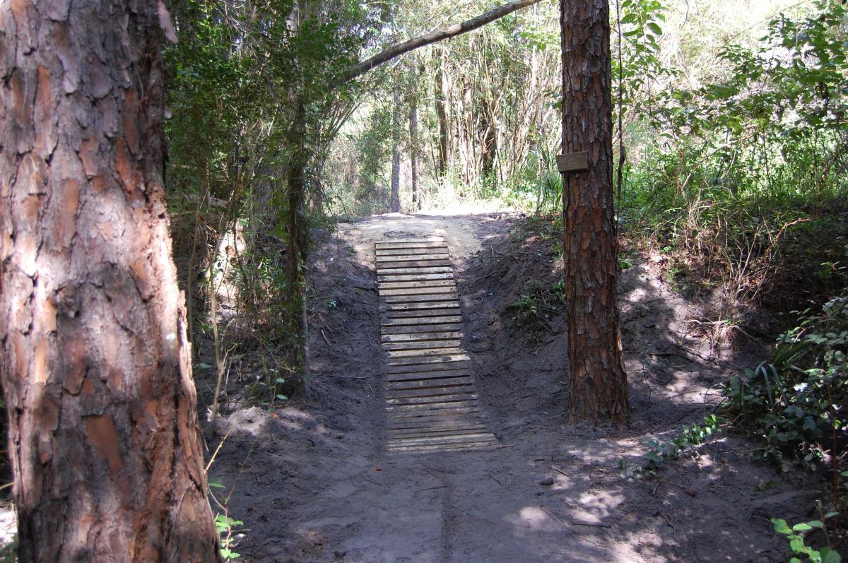 A dirt trail leading into a wooded area, featuring a small wooden ramp made of planks. The surrounding landscape includes tall trees and dense greenery on either side of the path, creating a natural and serene environment. Tillie Fowler Regional Park mountain bike trail.