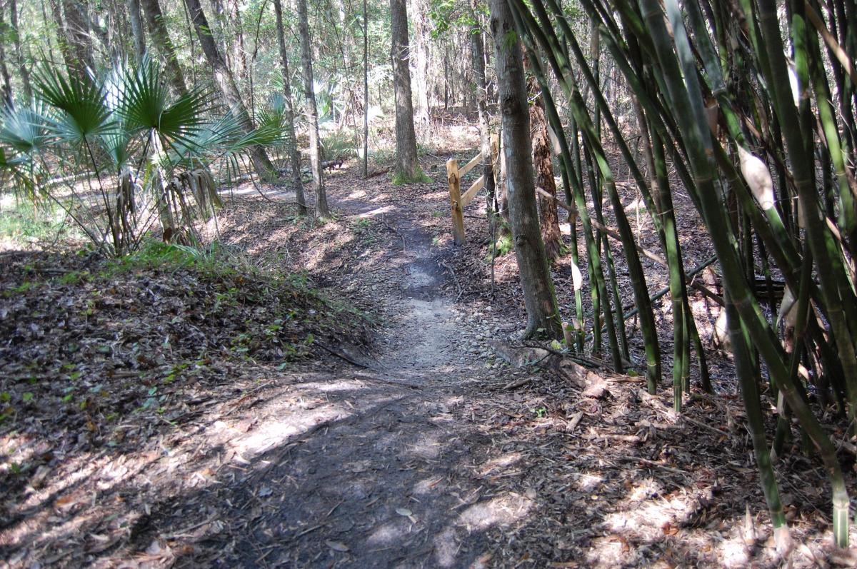 A winding dirt path through a wooded area, surrounded by tall trees and greenery, with a wooden fence along one side. The trail is lined with leaves and small plants, indicating a natural, serene environment. Tillie Fowler Regional Park mountain bike trail.