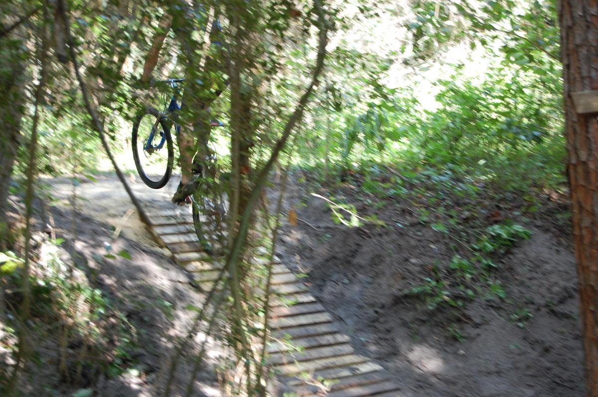 A mountain biker in mid-air, navigating a wooden ramp in a wooded area, surrounded by trees and greenery. The image captures the dynamic moment of the bike lift as the cyclist rides over a dirt path. Tillie Fowler Regional Park mountain bike trail.