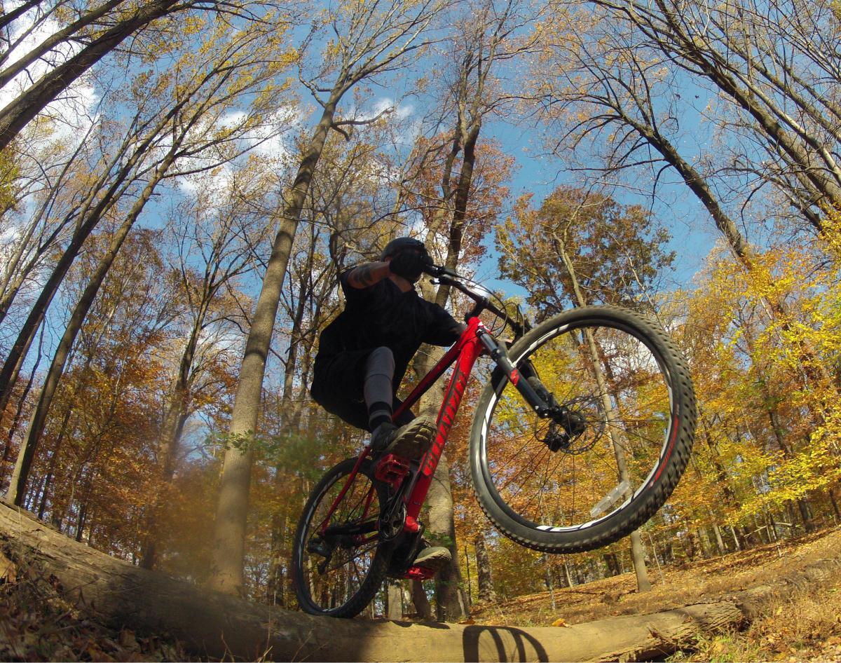 A mountain biker performs a jump over a wooden obstacle on a trail surrounded by autumn-colored trees under a bright blue sky. Patapsco Valley State Park (Avalon Area) mountain bike trail.