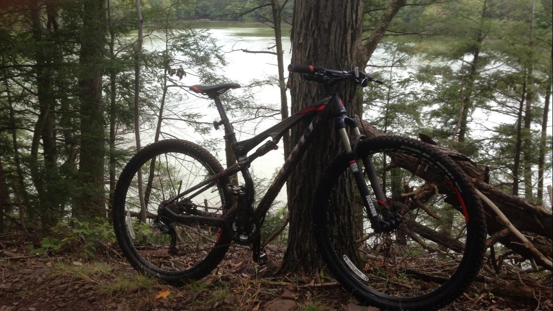 A mountain bike is leaning against a tree near a calm lake surrounded by greenery. The scene captures the tranquility of nature, with the bike positioned on a dirt path among the trees. Green Lane mountain bike trail.