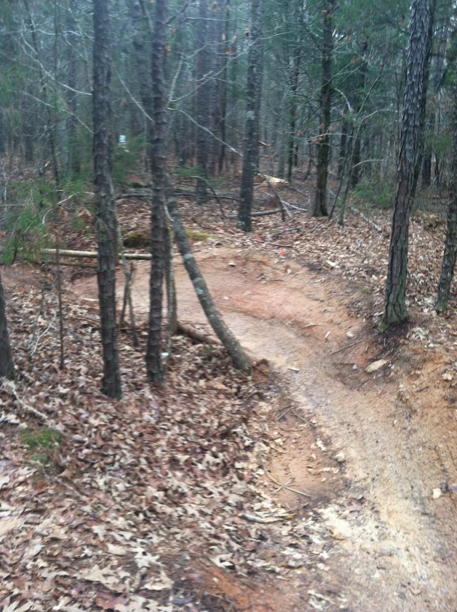 A winding dirt trail through a forested area, surrounded by trees and scattered fallen leaves, indicating the natural setting of a hiking or biking path. Colonel Francis Beatty Park mountain bike trail.