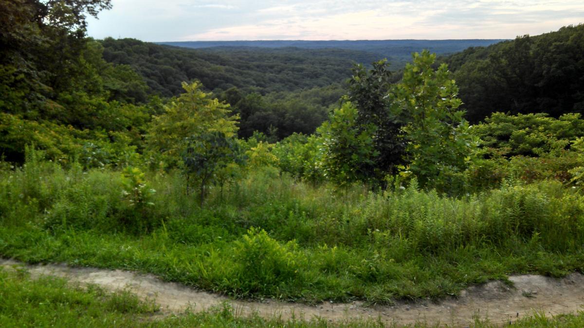 A lush, green landscape featuring rolling hills and dense tree cover under a cloudy sky. In the foreground, tall grass and small trees are visible, leading to a winding dirt path that suggests exploration. The background showcases a panoramic view of distant hills, enhancing the sense of tranquility and natural beauty. Brown County Park mountain bike trail.