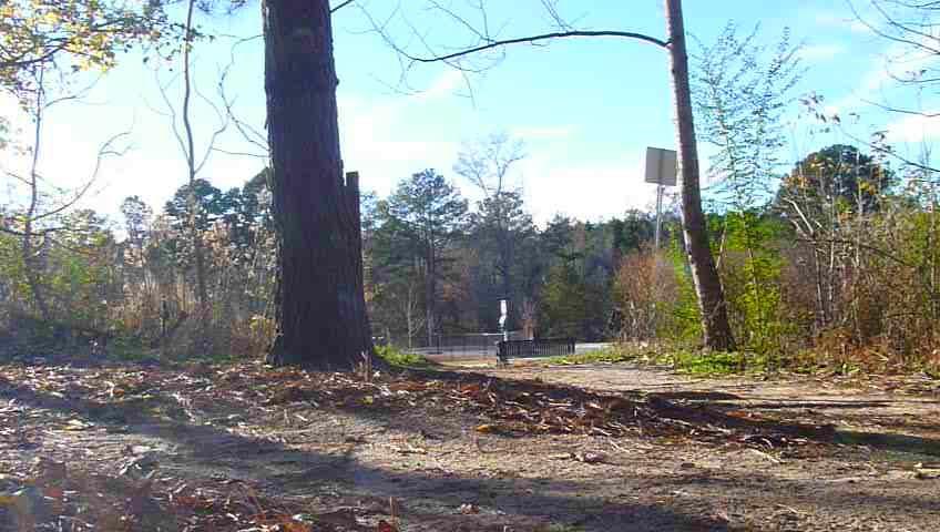 A natural landscape view featuring a dirt path leading through a wooded area, framed by trees and surrounded by fallen leaves. In the background, a small body of water is visible, with a bench and a sign nearby. The scene is illuminated by a bright sky, indicating a clear day. Haw Creek Park mountain bike trail.
