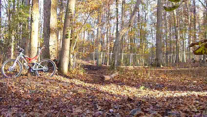 A mountain bike leaning against a tree in a wooded area covered with fallen autumn leaves, with sunlight filtering through the trees in the background. A narrow dirt path winds through the scene, and a faint fence can be seen in the distance. Haw Creek Park mountain bike trail.