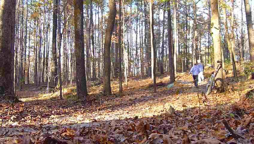 A person walking along a wooded trail covered in autumn leaves, with trees lining the path and a bicycle parked nearby. The scene captures the tranquility of a forest in fall. Haw Creek Park mountain bike trail.