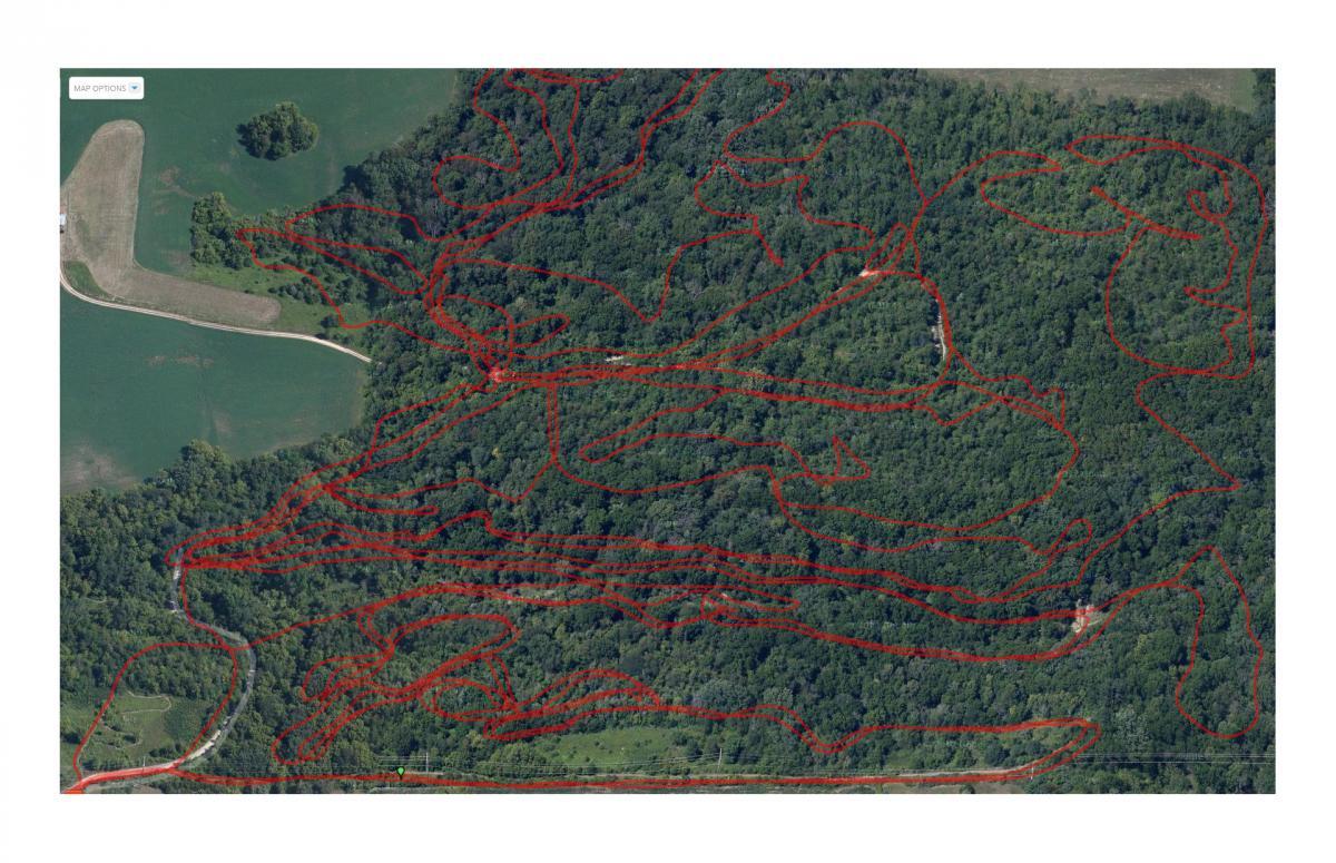 Aerial view of a forested area with winding trails marked in red. The landscape features patches of greenery, pathways, and an open field on the left side, indicating possible hiking or biking routes through the wooded terrain. FDR Park mountain bike trail.