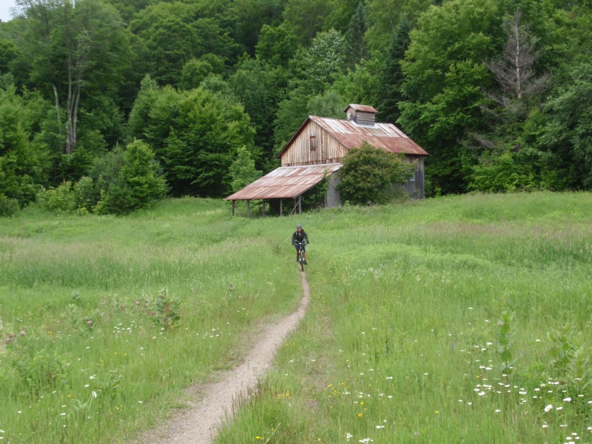 A cyclist riding along a dirt path through a lush green field, with an old barn and dense trees in the background. The scene depicts a tranquil, rural landscape in a wooded area. Kingdom Trails mountain bike trail.