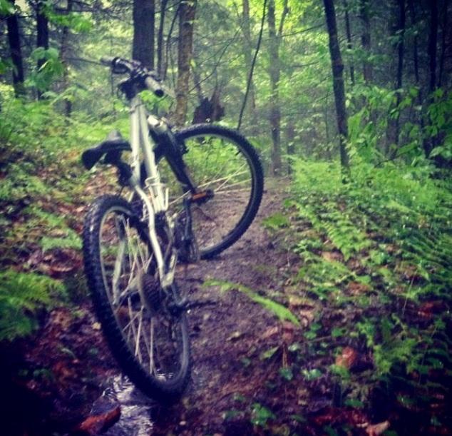 A mountain bike resting on a muddy trail surrounded by lush greenery and trees, with a misty atmosphere indicating damp weather. Fairfax Falls mountain bike trail.