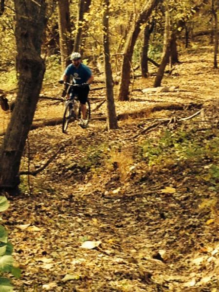 A person riding a mountain bike on a forest trail, surrounded by trees and autumn foliage, with fallen leaves scattered on the ground. Valley Forge Park River Trail mountain bike trail.