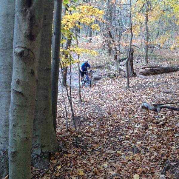 A person riding a mountain bike along a leaf-covered trail in a wooded area during autumn, with colorful fall foliage visible on the trees. Valley Forge Park River Trail mountain bike trail.